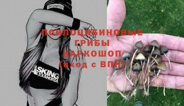 метамфетамин Инта