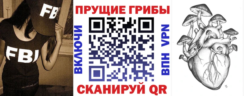 Купить закладки  Владимир  Галлюциногенные грибы Magic Shrooms 